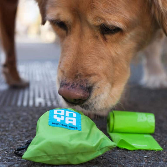 Dog Waste Disposal Bag Refills